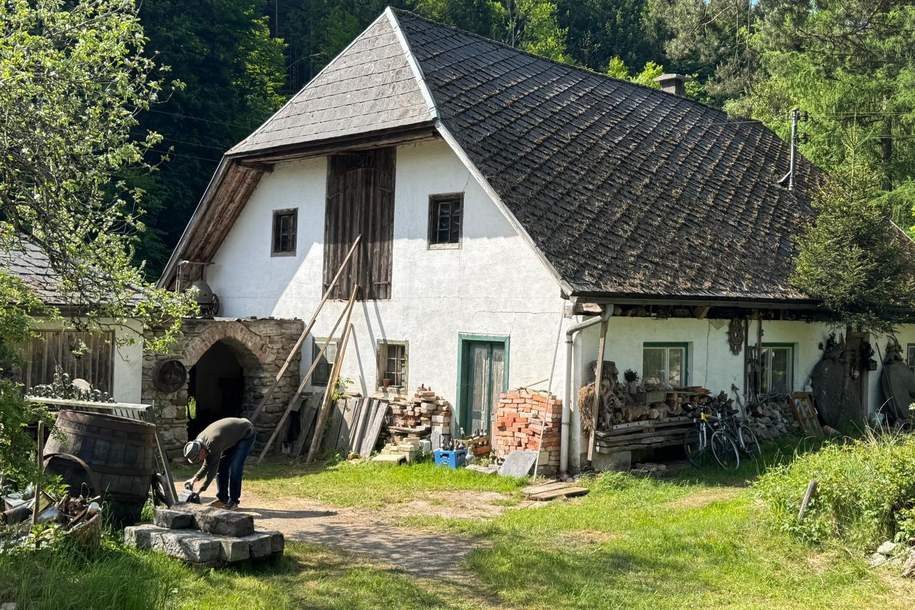 Sacherl im Grünen, Haus-kauf, 229.000,€, 4812 Gmunden