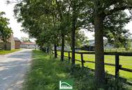 Low-energy house, very sacious with an additional office/practice or apartment of 70 m². Completely renovated in 2023.
