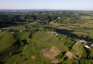 Atemberaubendes Anwesen mit Weingarten und Gebäuden"Bestlage in Slowenien" ca.4,5km von Spielfeld