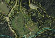 Sensationelle Investition! Grundstück in Thermenregion mit Projektstudie für Wohn/Ferienprojekt mit Badesee