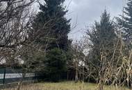 Solides Einfamilienhaus mit Keller im Herzen von Langholzfeld!