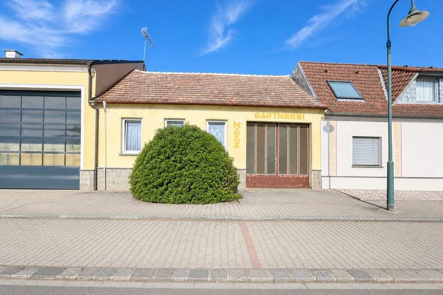 Ehemalige Gärtnerei mit 2.200 m² Grundfläche und vielfältigem Entwicklungspotenzial, Haus-kauf, 149.000,€, 2154 Mistelbach