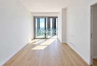 Penthouse AT THE TOP OF VIENNA. 51st Floor Above the DANUBE