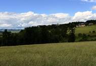 Landwirtschaftliche Fläche zwischen Fraham und Scharten zu verkaufen