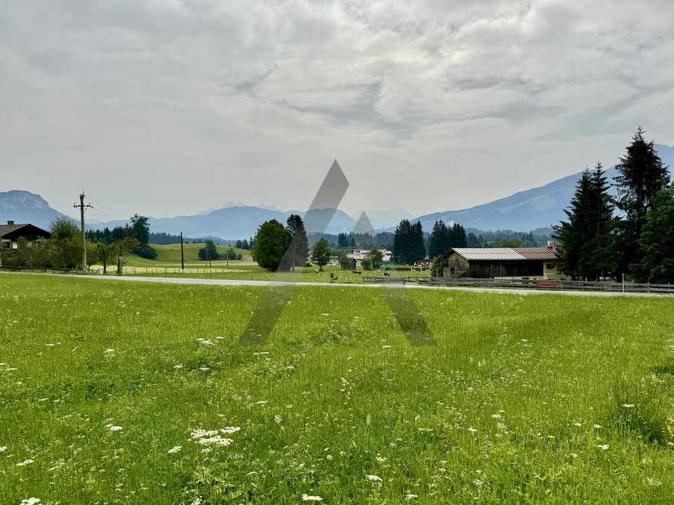 Traumhaftes Baugrundstück am Wilden Kaiser - Going am Wilden Kaiser