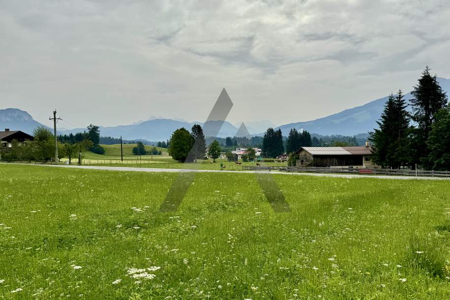 Traumhaftes Baugrundstück am Wilden Kaiser - Going am Wilden Kaiser, Grund und Boden-kauf, 1.710.000,€, 6353 Kitzbühel