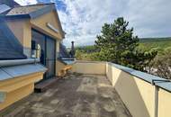 Adventsaktion: Provisionsfrei! Dachterrasse mit Grünblick I ca. 2.000 m² Gartenfläche zur Mitbenutzung I barrierefrei I ca. 3,20m Raumhöhe I