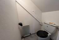 Sanierungsbedürftiges Haus auf großem Grundstück