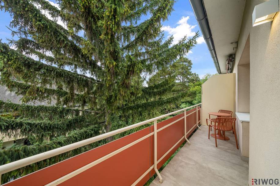 Zentrale und hochwertig Sanierte 1-Zimmer-Wohnung mit SÜD-WEST-Terrasse und Grünblick in gepfegter Anlage, Wohnung-kauf, 199.000,€, 2500 Baden