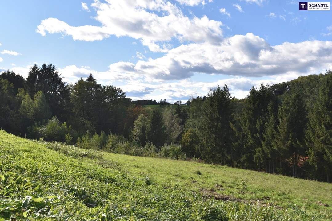 Rastbühel: Ihr Traumhaus wartet! Nur 10 Minuten von Graz entfernt bieten vier exklusive Baugrundstücke Raum für Ihre Vision. Starten Sie hier Ihr neues Zuhause!