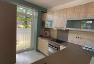 PREISHIT! RARITÄT AM WALD