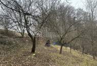Sanierungsbedürftiger Streckhof mit Potenzial in schöner Höhen-bzw. Aussichtslage