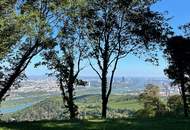Liebe zur Nostalgie: Historische Villa am Kahlenberg mit Blick über Wien
