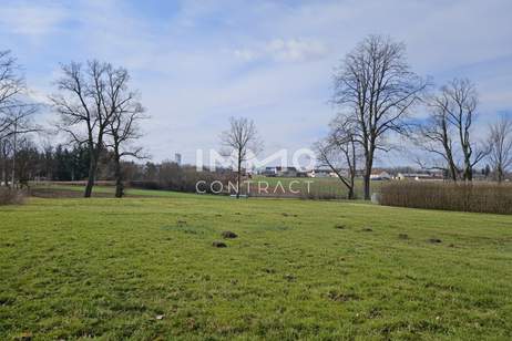 Grundstück in Waidhofen an der Thaya - 2525 m² mit Widmung LN bzw. Grünland-Kleingärten, Grund und Boden-kauf, 31.900,€, 3830 Waidhofen an der Thaya