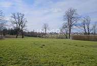 Grundstück in Waidhofen an der Thaya - 2525 m² mit Widmung LN bzw. Grünland-Kleingärten