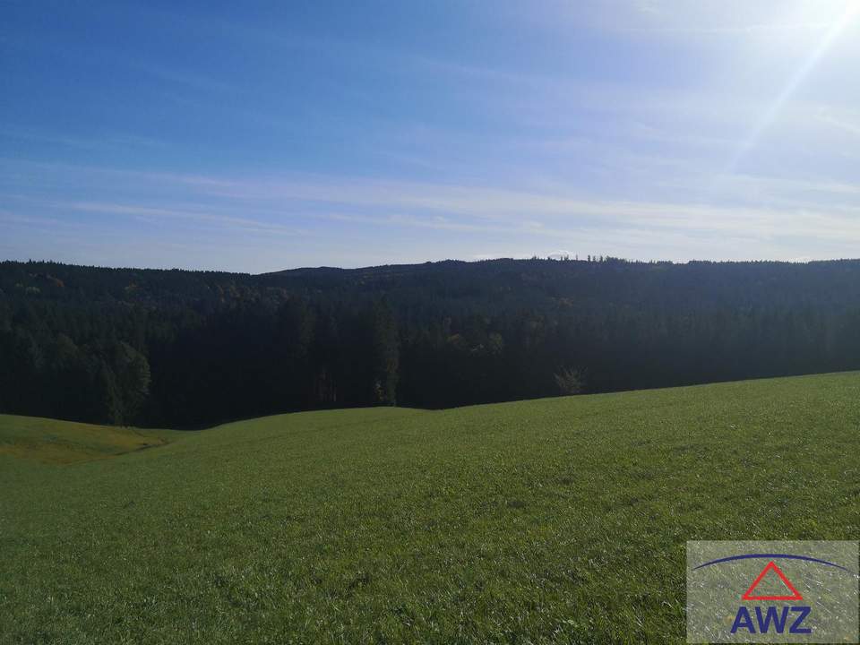 Landwirtschaftliches Grundstück und Baugrund im Raum Mondsee zu verkaufen!