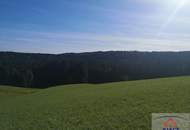 Landwirtschaftliches Grundstück und Baugrund im Raum Mondsee zu verkaufen!