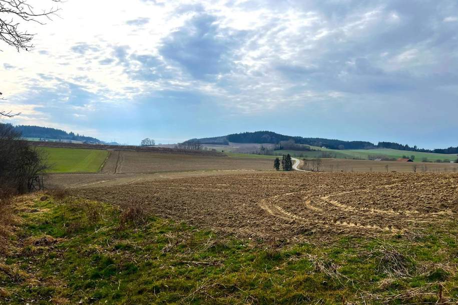 Landwirtschaftlicher Grund/Ackerfläche im Ortsbereich Reiset, Grund und Boden-kauf, 210.000,€, 4942 Ried im Innkreis