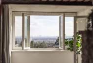 Panorama Penthouse Extra Large
