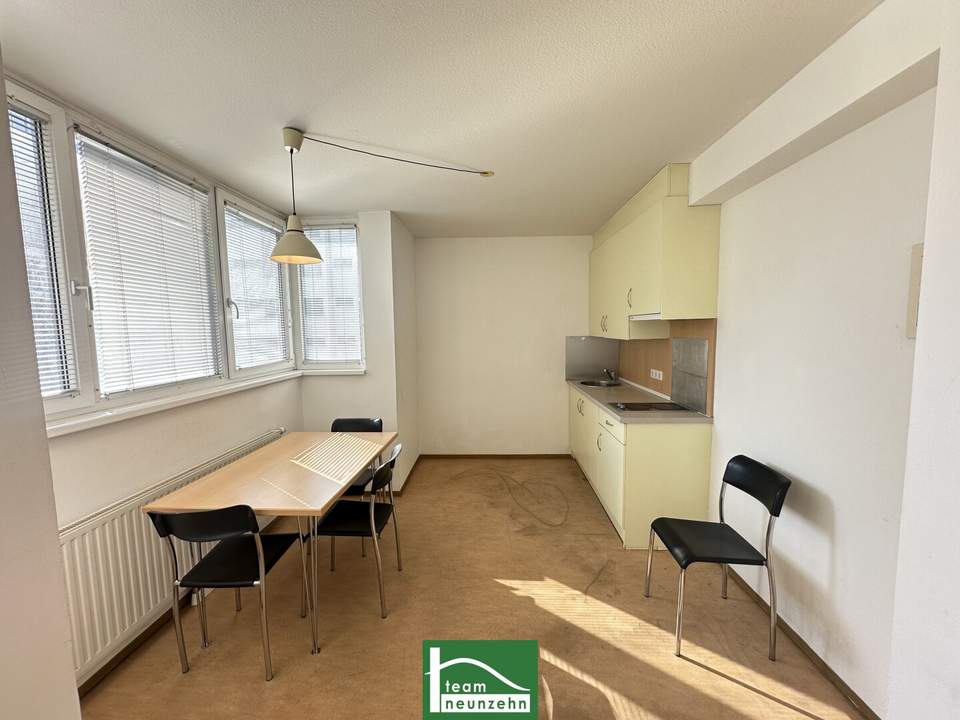 All-inclusive Wohnung in Hofruhelage beim Kirschblütenpark – nahe U1 Kagran! Warmmiete. - WOHNTRAUM