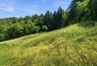 TRAUMHAFTES BAUGRUNDSTÜCK IN RUHELAGE &amp; SEENÄHE – 2.069 M² FÜR IHR EIGENHEIM!