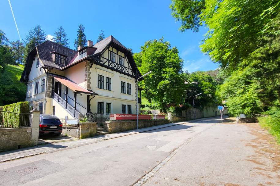 Außergewöhnliche Villa in absolut ruhiger Waldrandlage I Rund um Natur pur nahe Lainzer Tiergarten I Ausbauen+sanieren, Haus-kauf, 1.295.000,€, 1230 Wien 23., Liesing