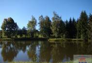 Ein Paradies für Fischer und Teichwirte im Bezirk Waidhofen an der Thaya