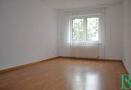 Hietzinger Cottage - Wohnung mit Terrasse und Kamin - Grünruhelage