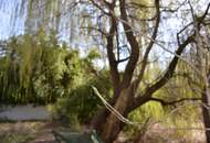 Renoviertes Restaurant in Eßling