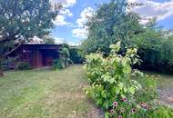 Sanierte Wohnung mit Schrebergarten