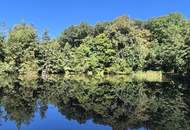 Einzigartiges Domizil für Großfamilien / Wohnen und Arbeiten unter einem Dach