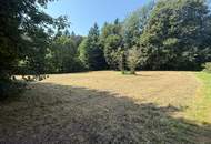 *** Ruhig, zentral, naturnah 2219 m² Baugrund im Herzen von Aflenz Kurort***