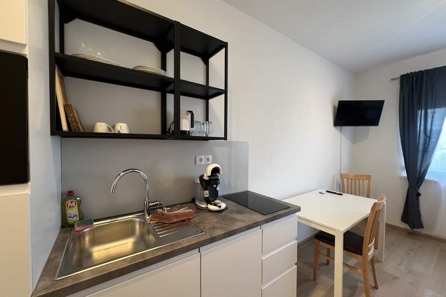 Neu sanierte Anlegerwohnung - 5 % Rendite!, Wohnung-kauf, 100.000,€, 8075 Graz-Umgebung