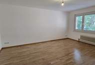 charmante, renovierte, helle, zentral gelegene 3 Zimmer-Lifteigentumswohnung
