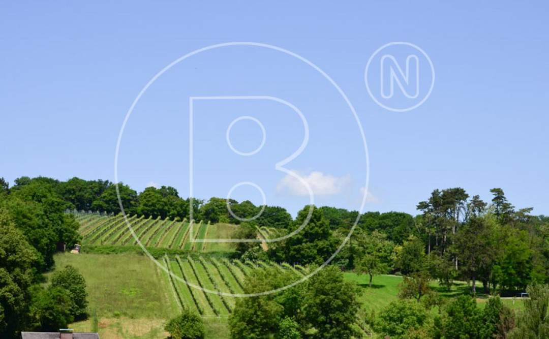 Schöner Baugrund mit Fernsicht in Grünruhelage!