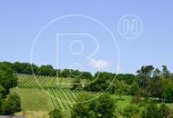 Schöner Baugrund mit Fernsicht in Grünruhelage!