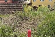 Charmantes Presshaus mit historischem Weinkeller &amp; Entwicklungspotenzial – seltene Gelegenheit!