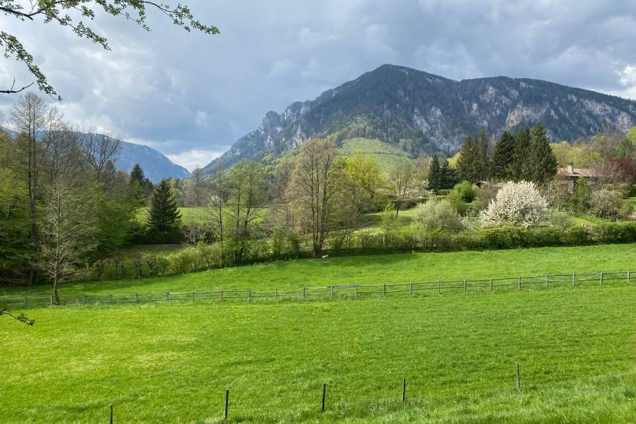 Traumkulisse! Freier Blick auf die Rax!, Grund und Boden-kauf, 399.000,€, 2651 Neunkirchen