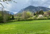 Traumkulisse! Freier Blick auf die Rax!