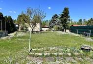 Seegrund in Lassee, 1056m² mit Terrasse, Miete nur 500 € – Natur pur genießen!