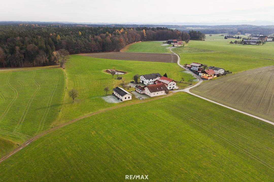 Vielseitige Liegenschaft mit zwei Wohnhäusern, Wirtschaftsgebäuden, Nutzflächen und Wald