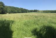 Natur pur - Holzblockhaus eingebettet in sonniger Ruhelage