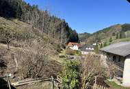 Einfamilienhaus im Grünen