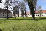 Minimaler Preis für maximalen Komfort: hochwertig sanierte Singlewohnung begeistert mit sonniger Raumaufteilung und herrlich ruhiger Grünlage am Stadtrand von Steyr!