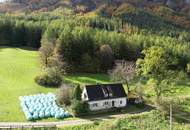 Romantisches Cottage in Alleinlage auf 5.555 m² Grund mit großzügigem Holzbezugsrecht