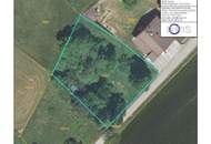 Unverbaubare Fernsicht! 1.531 m² großes Hang-Baugrundstück OHNE Bauzwang und OHNE Bebauungsplan in Steusiedlung am Land!