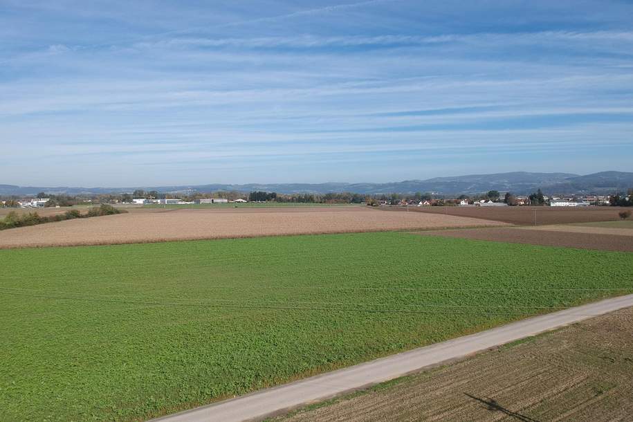 Landwirtschaftlicher Nutzgrund in Alkoven, Grund und Boden-kauf, 2.410.160,€, 4072 Eferding