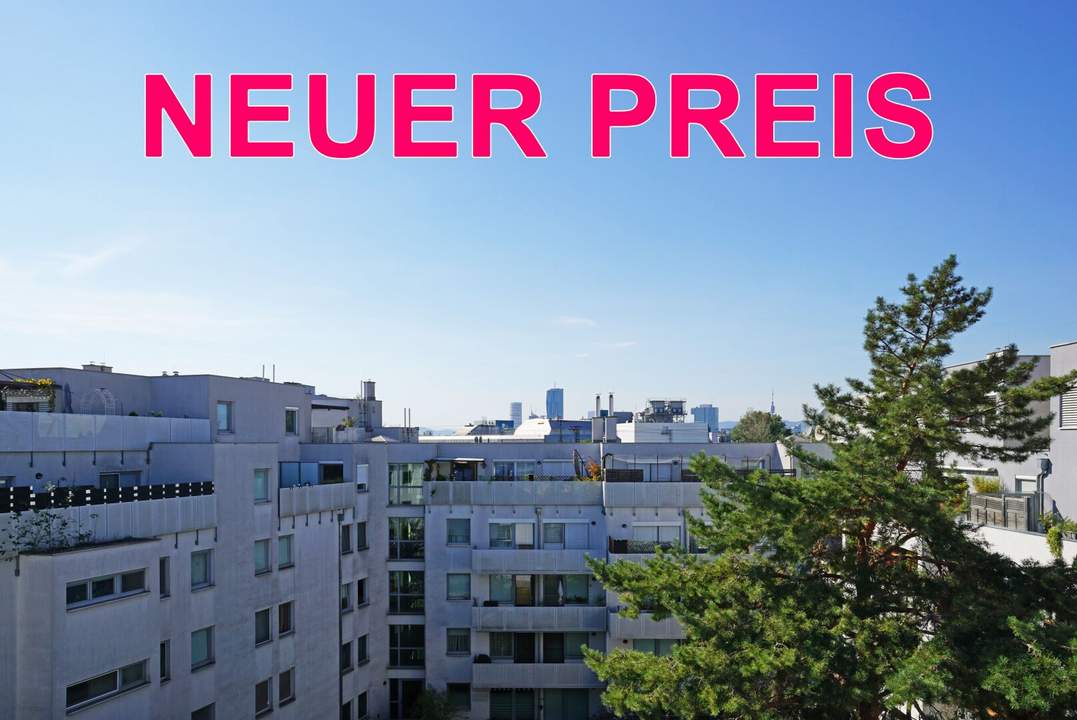 Ausblick bis Donauturm und DC Tower - Dachgeschoßwohnung mit Balkon