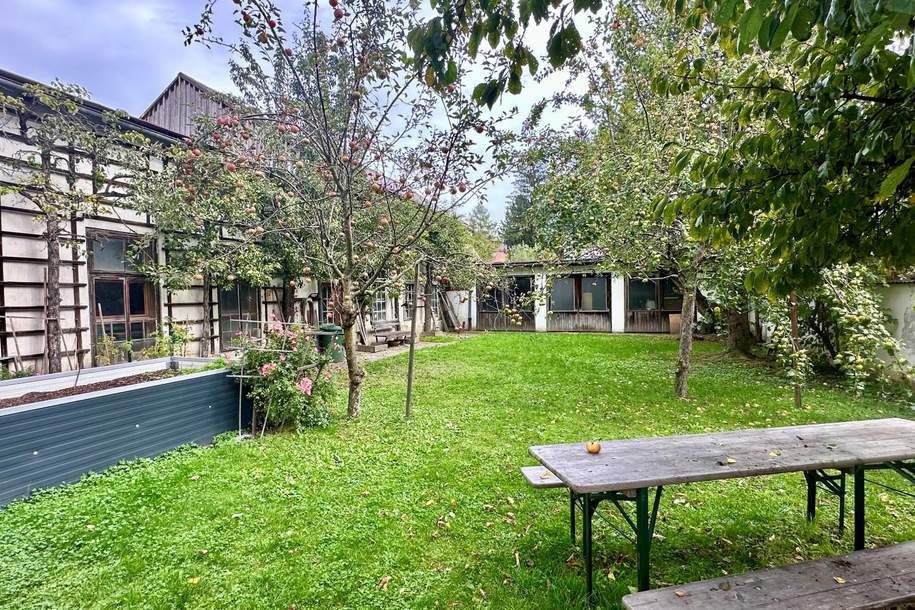 „Secret Garden“ – Baugrundstück mit Altbestand, Grund und Boden-kauf, 250.000,€, 9900 Lienz