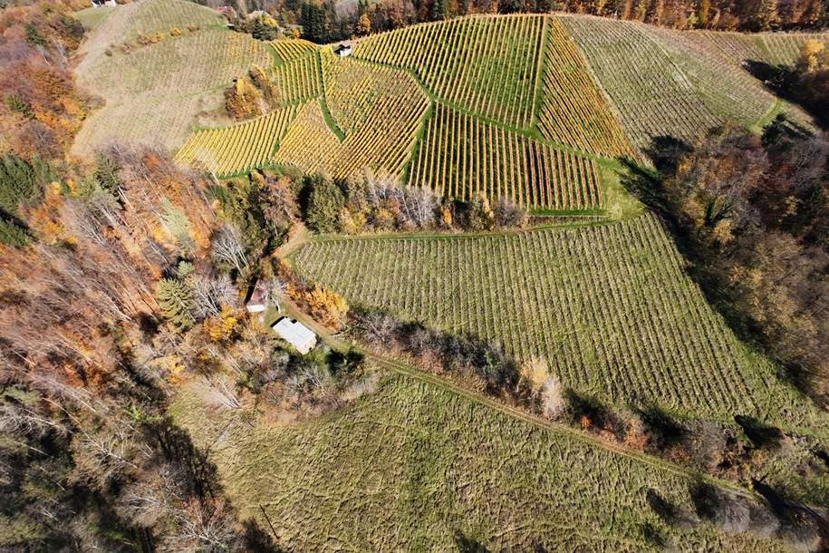 Preisanpassung !! Weingarten mit Landwirtschaft und Altbestand in Kranach, Gemeinde Gamlitz, Gewerbeobjekt-kauf, 666.000,€, 8462 Leibnitz